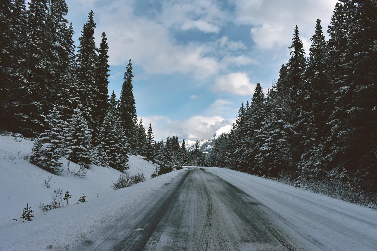 Canadian Rockies in Winter